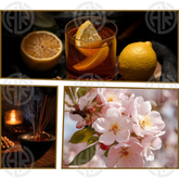 Isfahan Sheikhaa Air Freshener (300ml) Environment Friendly & Mood Boosting